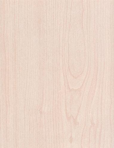 Sugar Maple